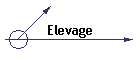 Elevage